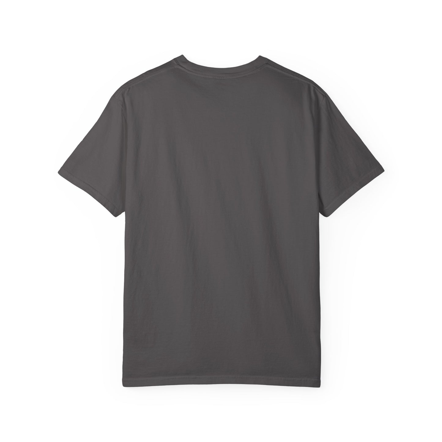 Playful Cat T-Shirt - Get Yourself Checked In, Cute Animal Tee, Gift for Cat Lovers, Funny Shirt, Casual Wear